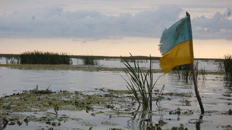 Украина, болото