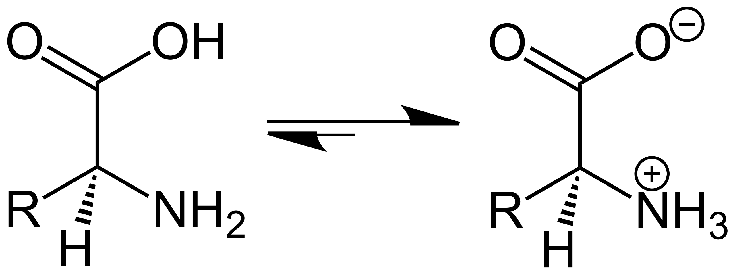 Аминокислота содержит как кислотные (фрагмент карбоновой кислоты), так и основные (фрагмент амина) центры. Изомер справа — цвиттер-ион