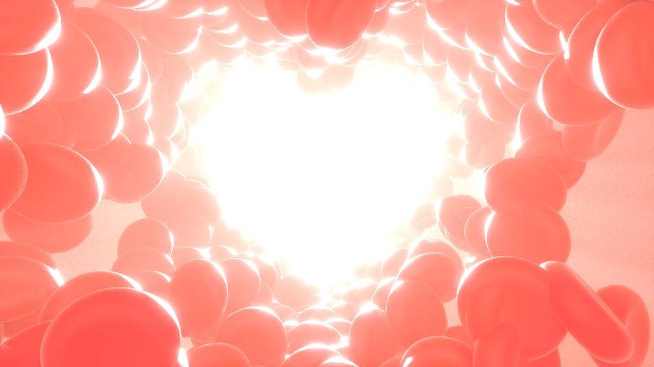 Красные кровяные клетки сердца