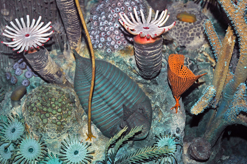 Диорама морского дна девона - криноидеи, трилобиты, кораллы 