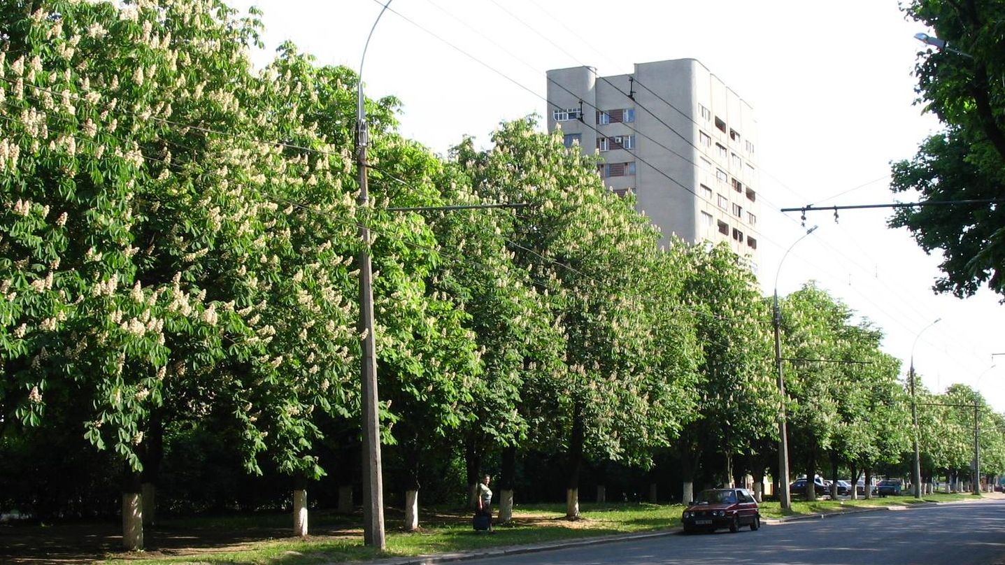 Проспект Маршала Жукова. Харьков