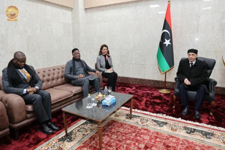 Переговоры спикера Палаты представителей Ливии Агилы Салеха и специального посланника Генерального секретаря ООН Абдулая Батили
