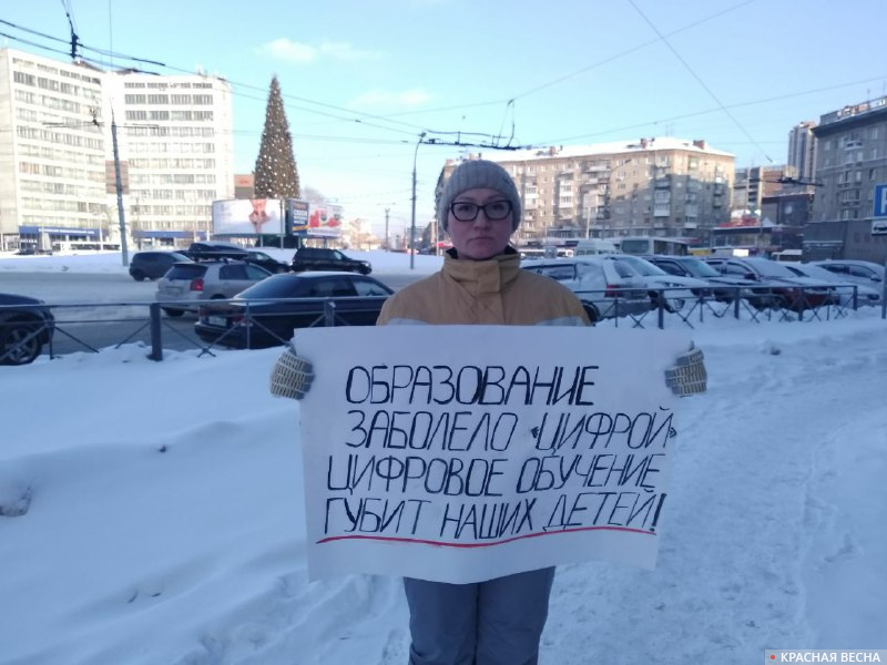 Протест родителей против ЦОС и дистанта в Заельцовском районе Новосибирска