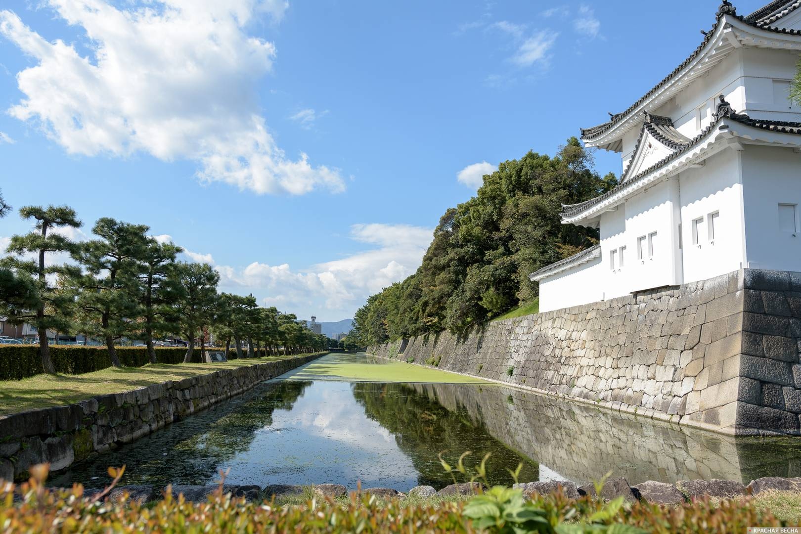 Ров замка Нидзё, Киото, Япония 03.11.2016
