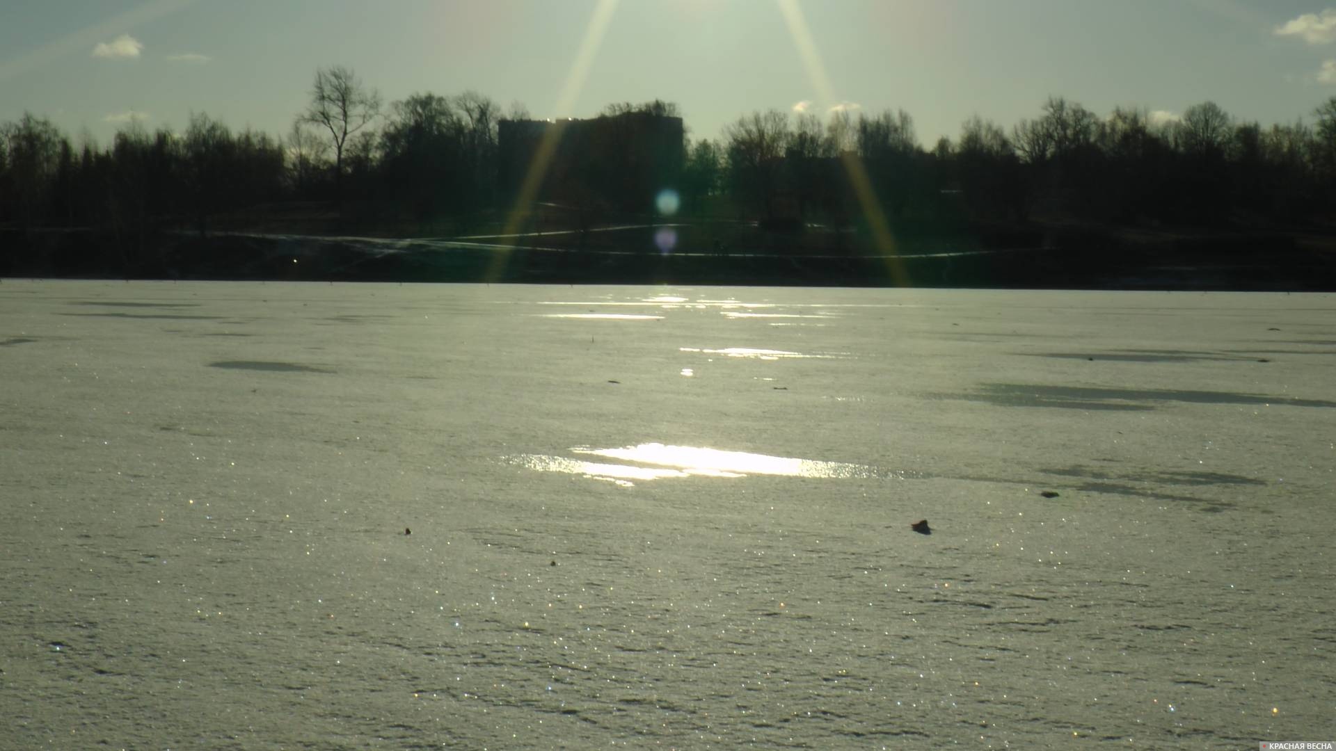 Заснеженный лед на пруду