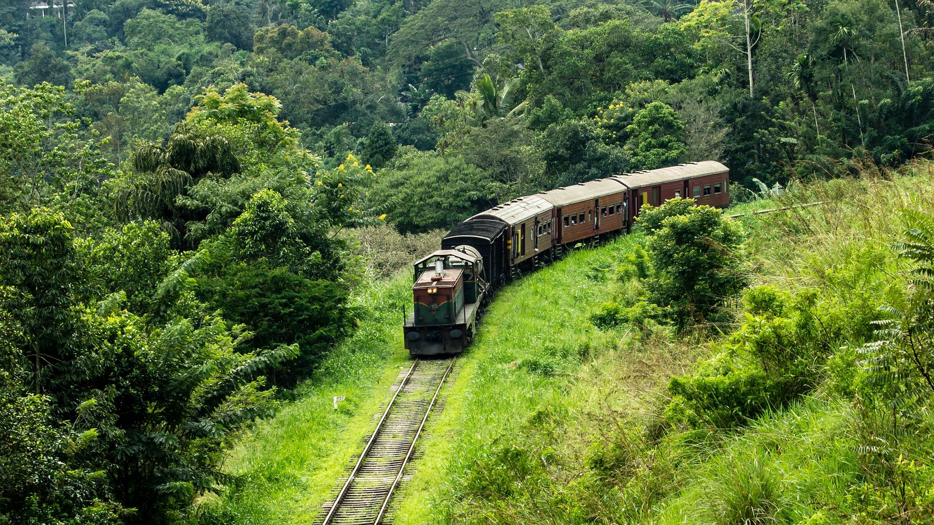 Поезд на Шри-Ланке