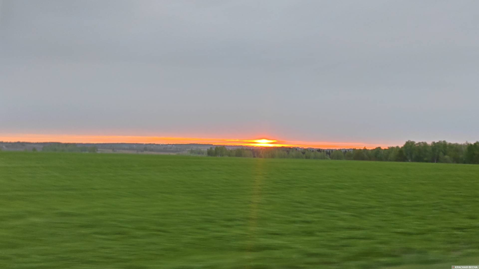 Закат над полем. Брянская область.