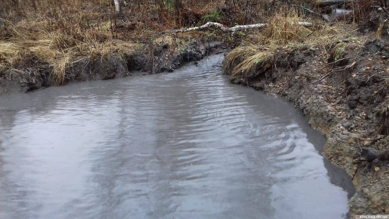 Грязная вода в малых реках Новокузнецкого района близ разреза «Кийзасский»