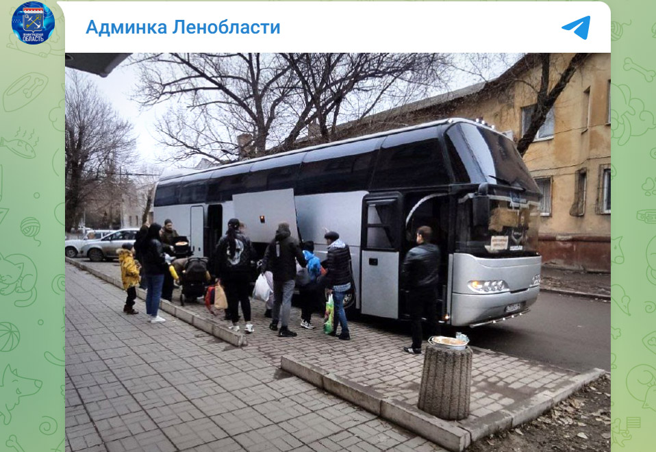Группа детей из Луганской Народной Республики приехала в Ленинградскую область на реабилитацию. 21 марта 2023 года