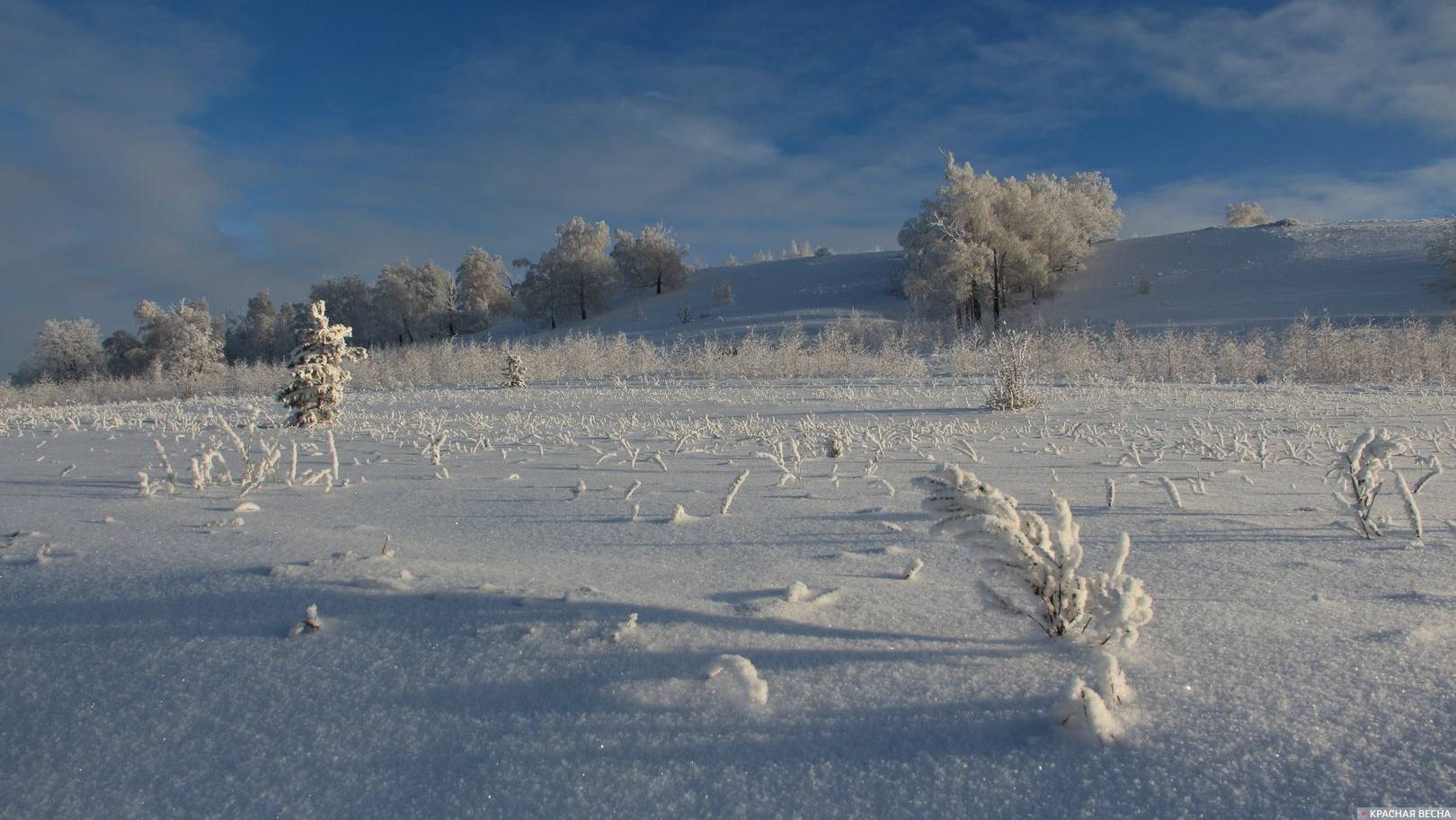 Система заморозки является самой сильной. Лютые Морозы в ХМАО. Заморозки Якутия. Аномальный холод весной. Романовское похолодание.