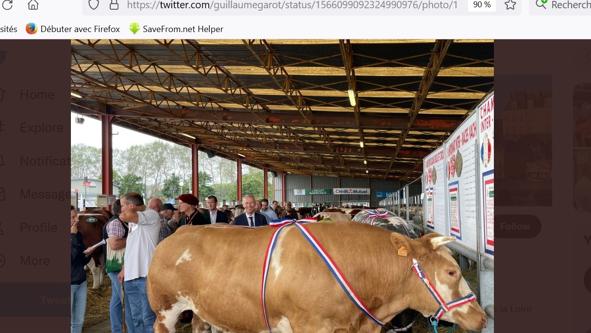 Скриншот страницы Twitter депутата Национальной ассамблеи от Социалистической партии (PS)  Гийома Гаро с фотографией с выставки крупного рогатого скота на 57-ом  Мясном фестивале во французском регионе Пеи-де-ла-Луар.   
