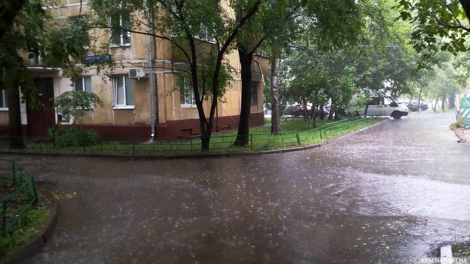 Дождь