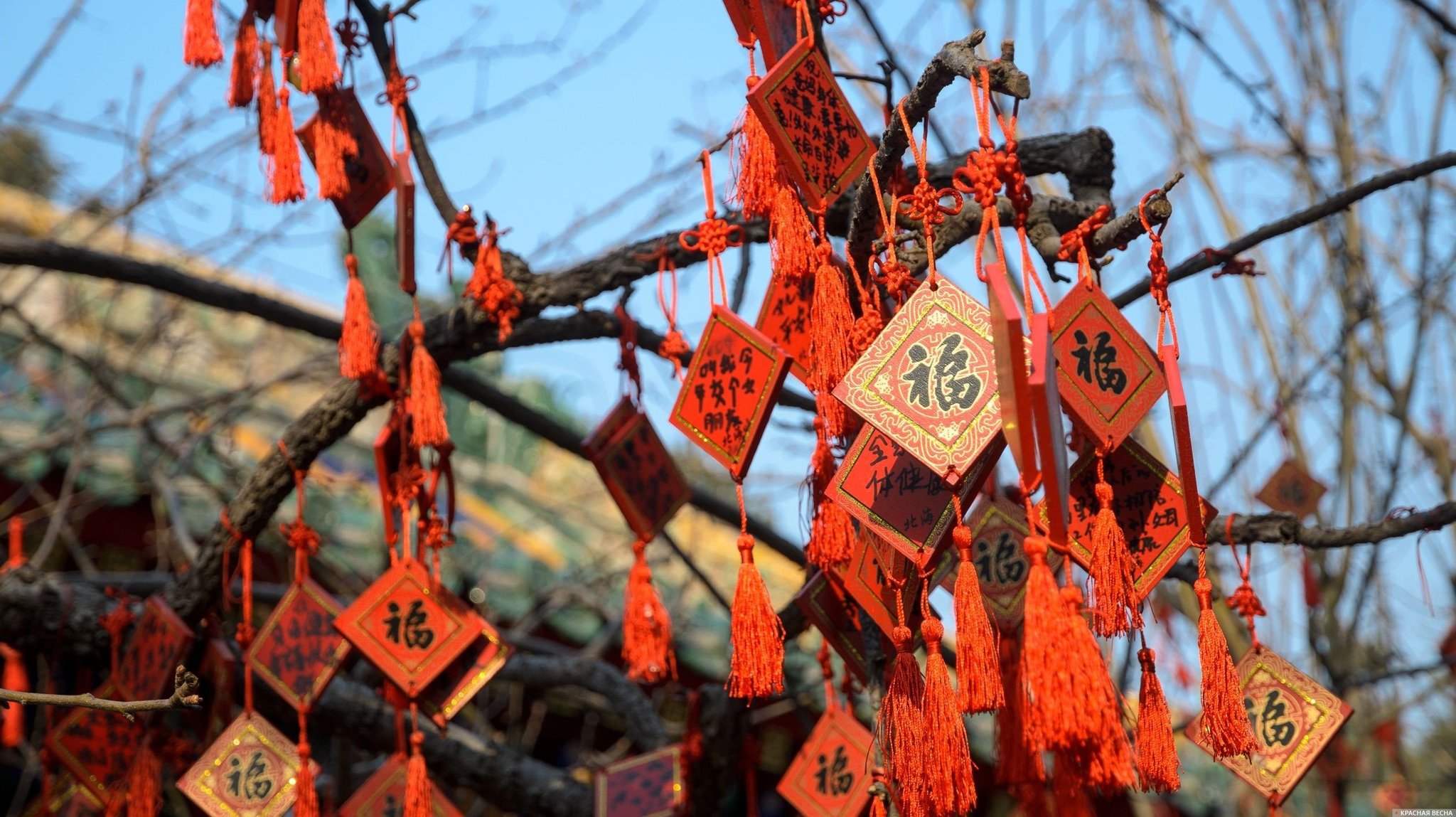 Таблички с пожеланиями, Пекин, Китай. 25.03.2013