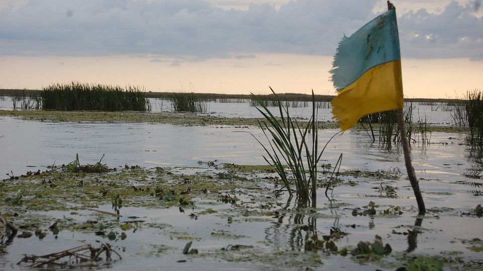 Флаг Украины в болоте