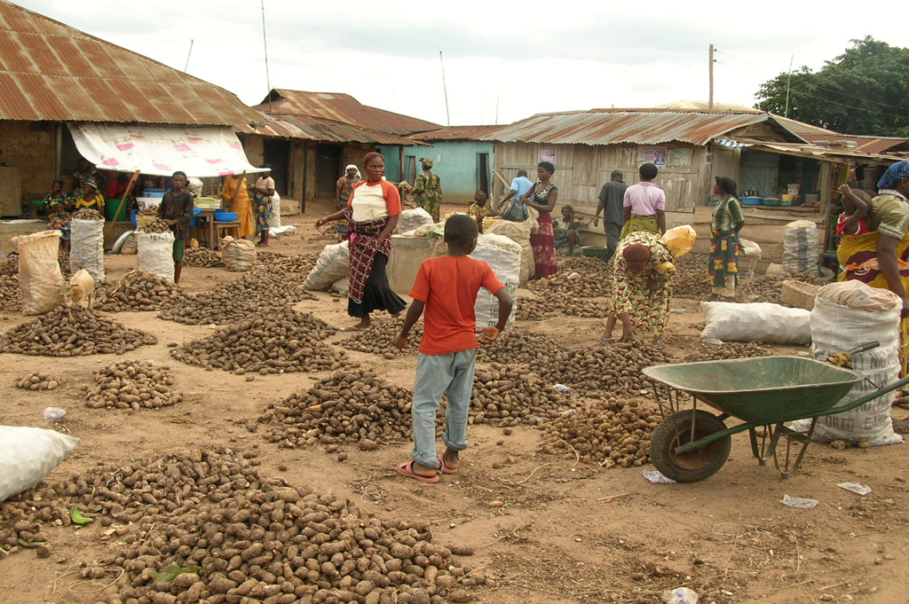 Торголя картофелем в Нигерии