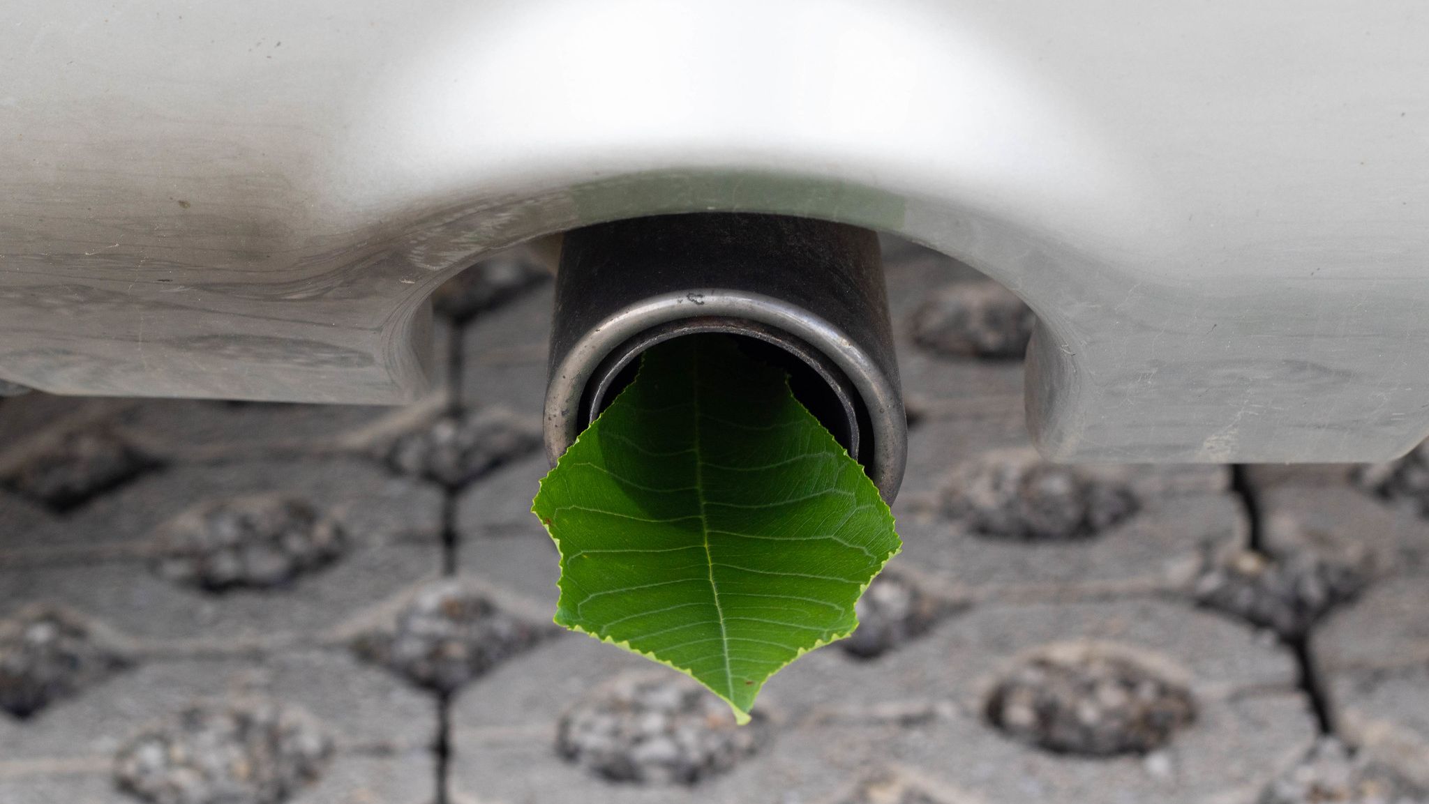Автомобильный выхлоп и новые экологические нормы