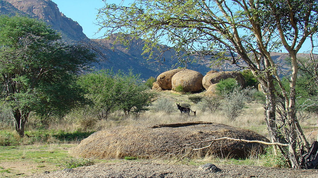 Подножья столовых гор. Намибия