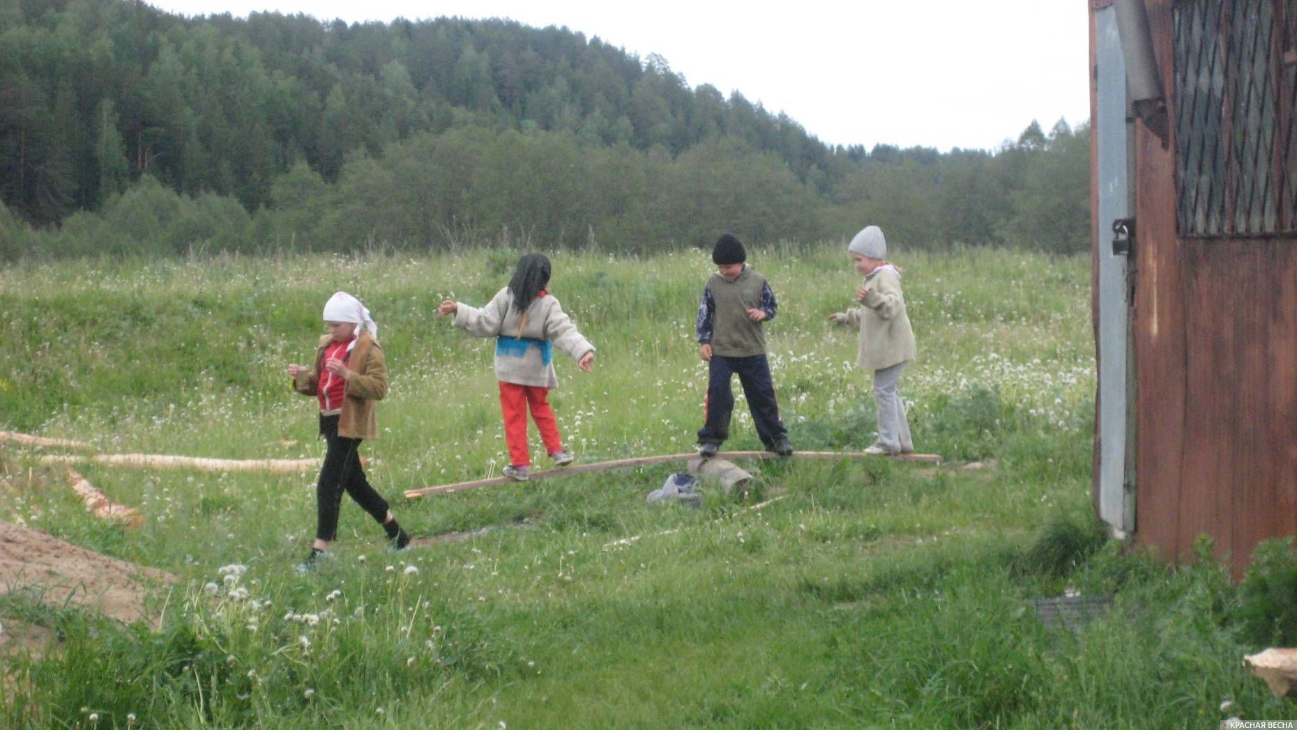 Дети в деревне