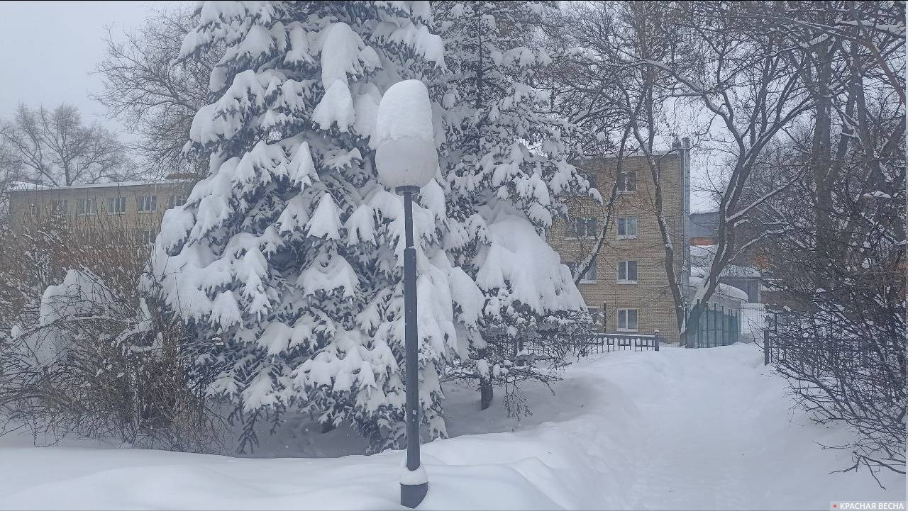 Подмосковье, Щелково