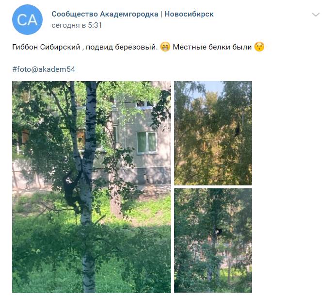 Скриншот страницы сообщества 