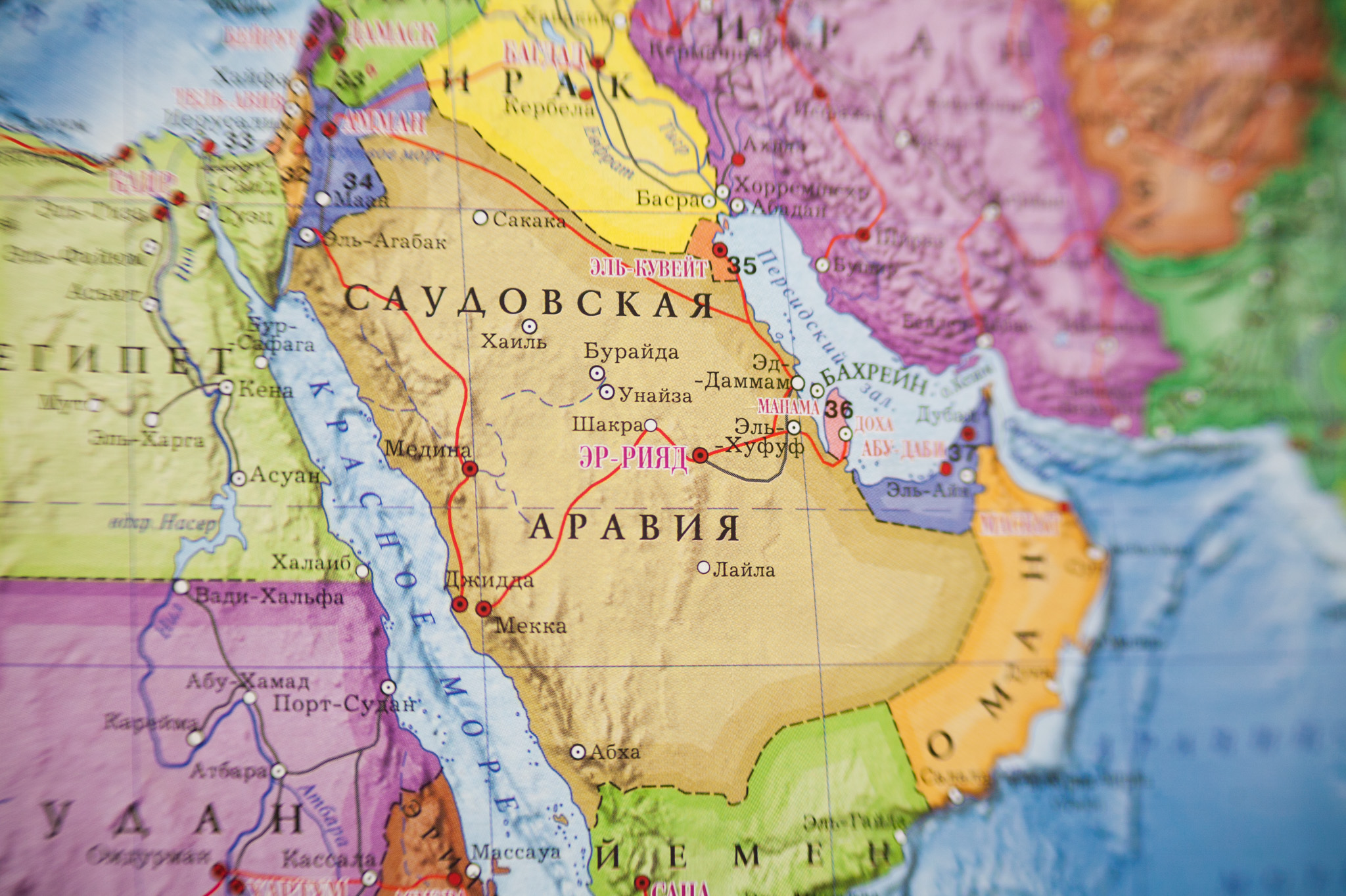 Саудовская Аравия и соседние страны, автор: Владимир Чичилимов [© ИА Красная Весна]