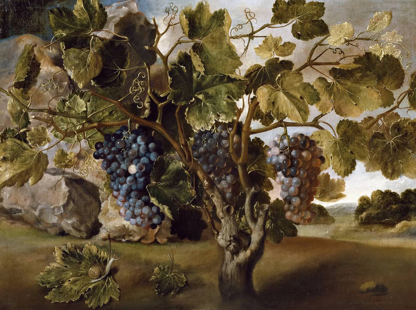 Томас Йепес. Пейзаж с виноградной лозой. 1645