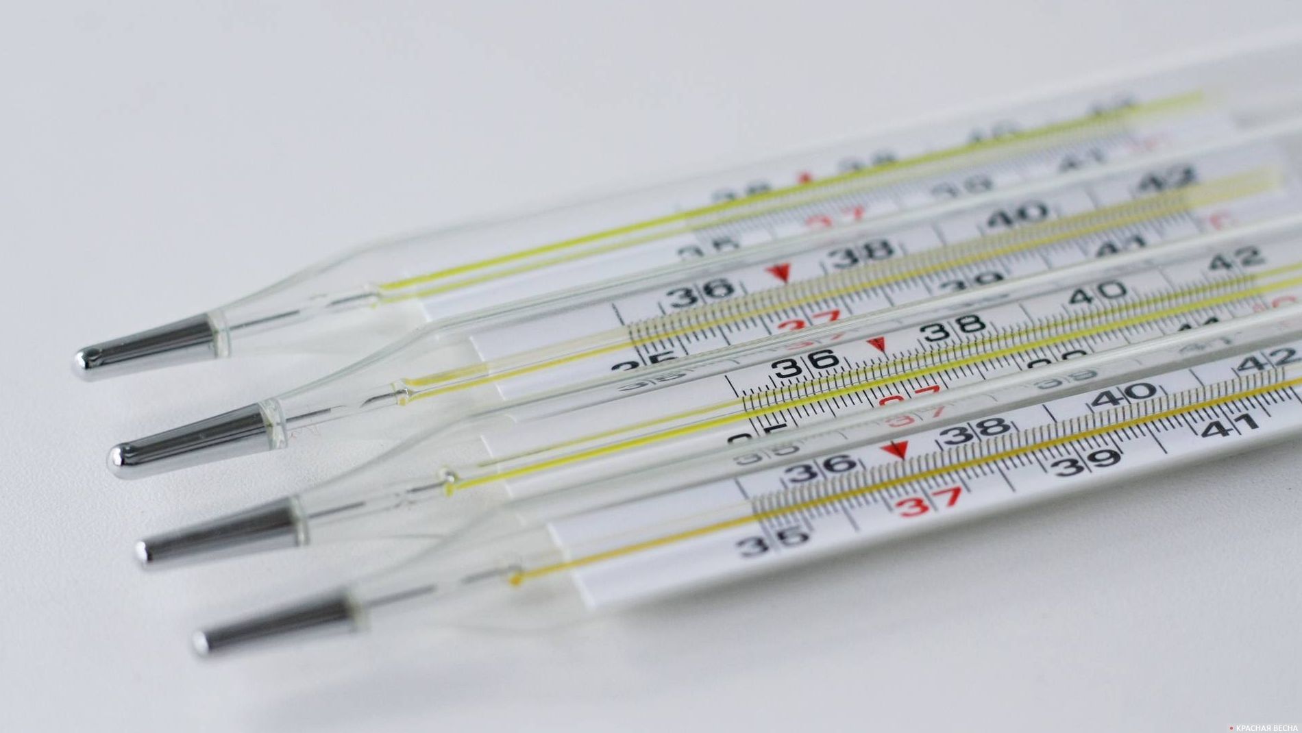 Термометры