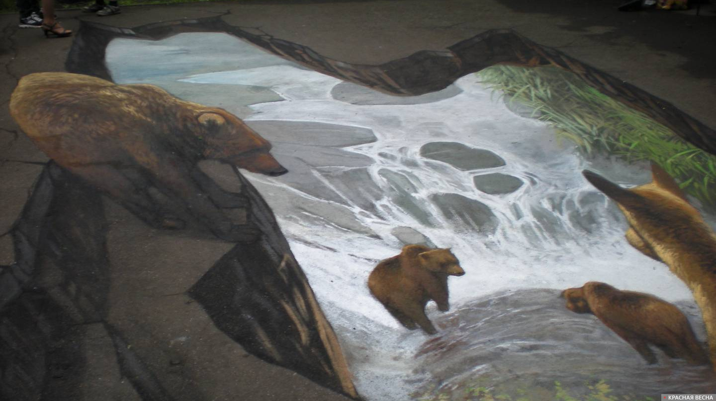 Медведи купаются (3D-графика на асфальте)