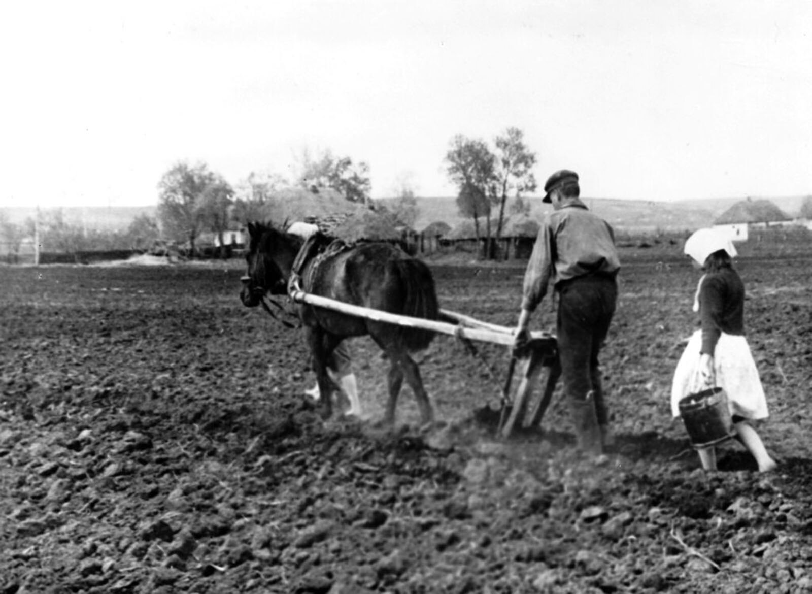 Украинские крестьяне пашут землю в 1943 году во время оккупации 1943 год