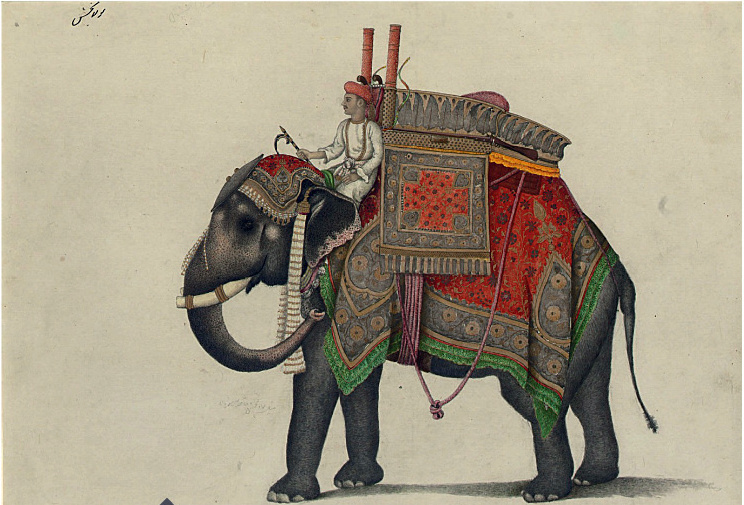 Слон императора, миниатюра начала XIX века