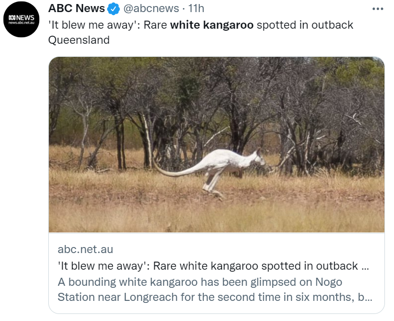 Скриншот страницы пользователя Twitter https://twitter.com/abcnews