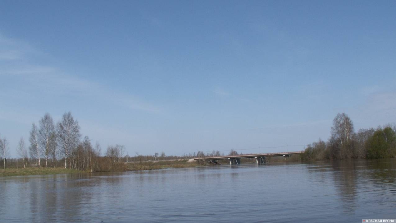 Мост через Днепр. Смоленская