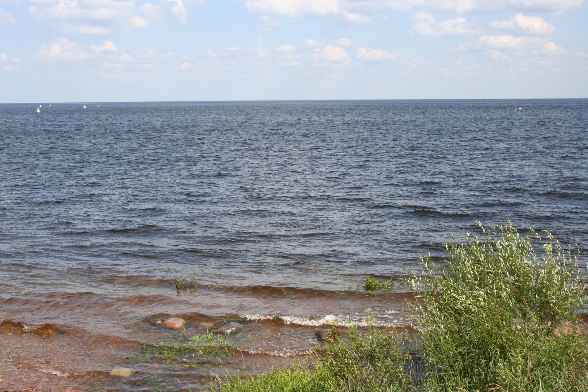 Петербург выступит с инициативой создать экосовет регионов Ладожского озера