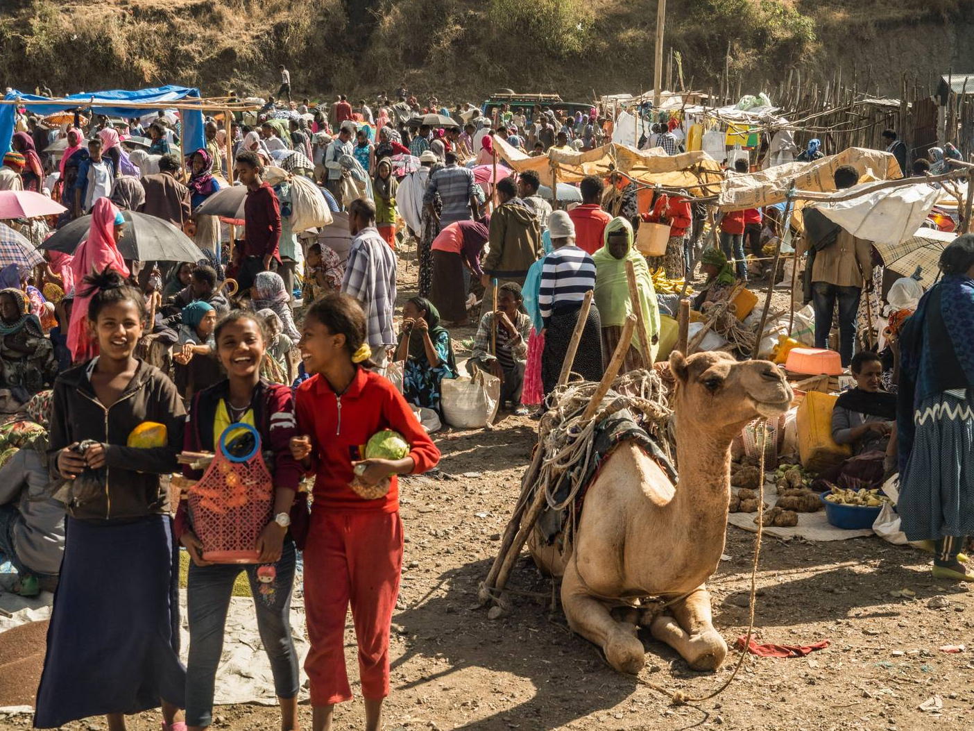 Туры в эфиопию. Ethiopian Youths.