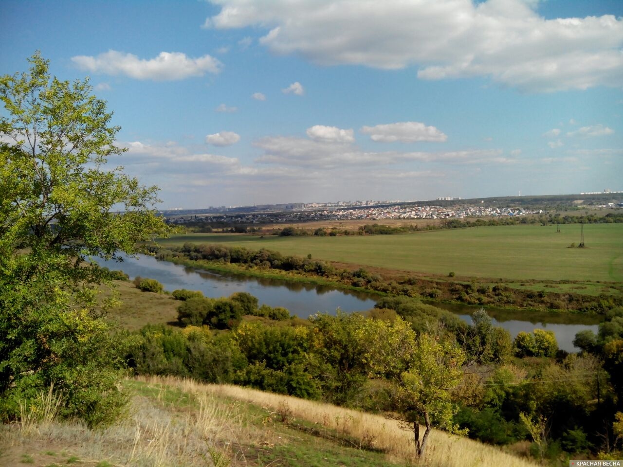 Река Дон. Воронежская область