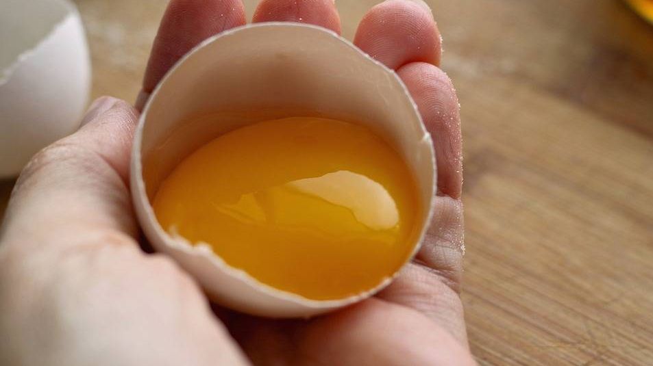 Производство куриных яиц в Ростовской области выросло на 30%