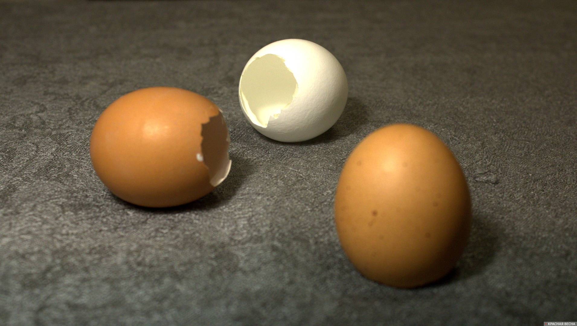 Натюрморт Пустые яйца