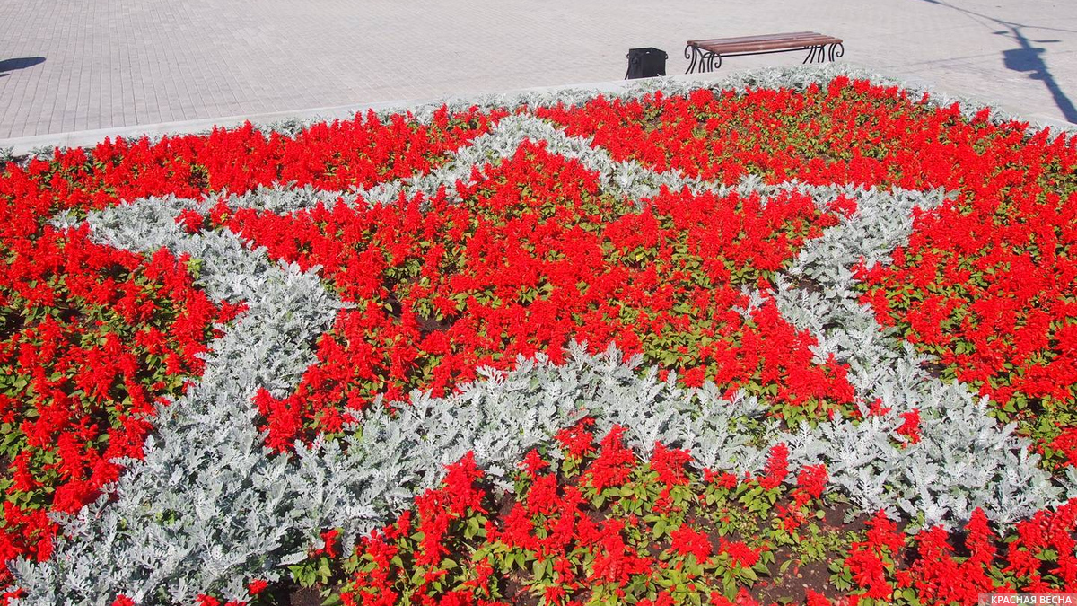 В Ростове-на-Дону посадили более 864 тыс. летних цветов