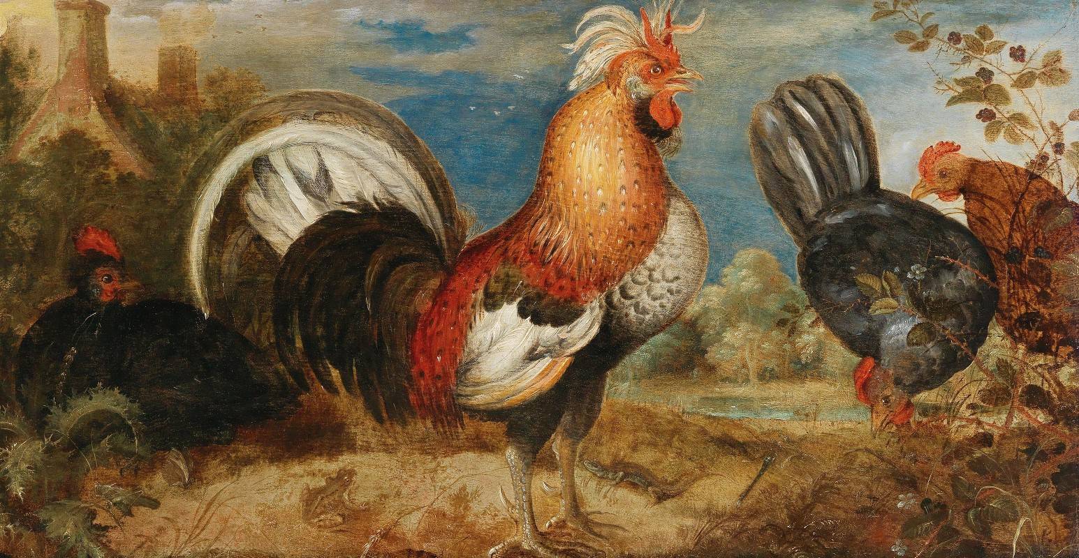 Ролант Савери (1576-1639). Петух и куры
