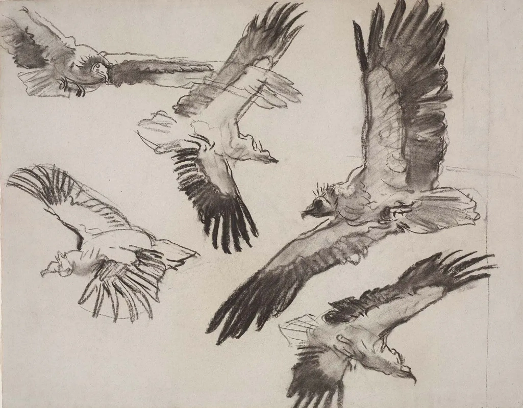 Джон Сингер Сарджент. Грифы. 1916