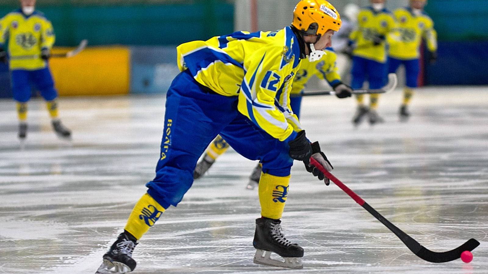 Дмитрий Козлов хоккей с мячом