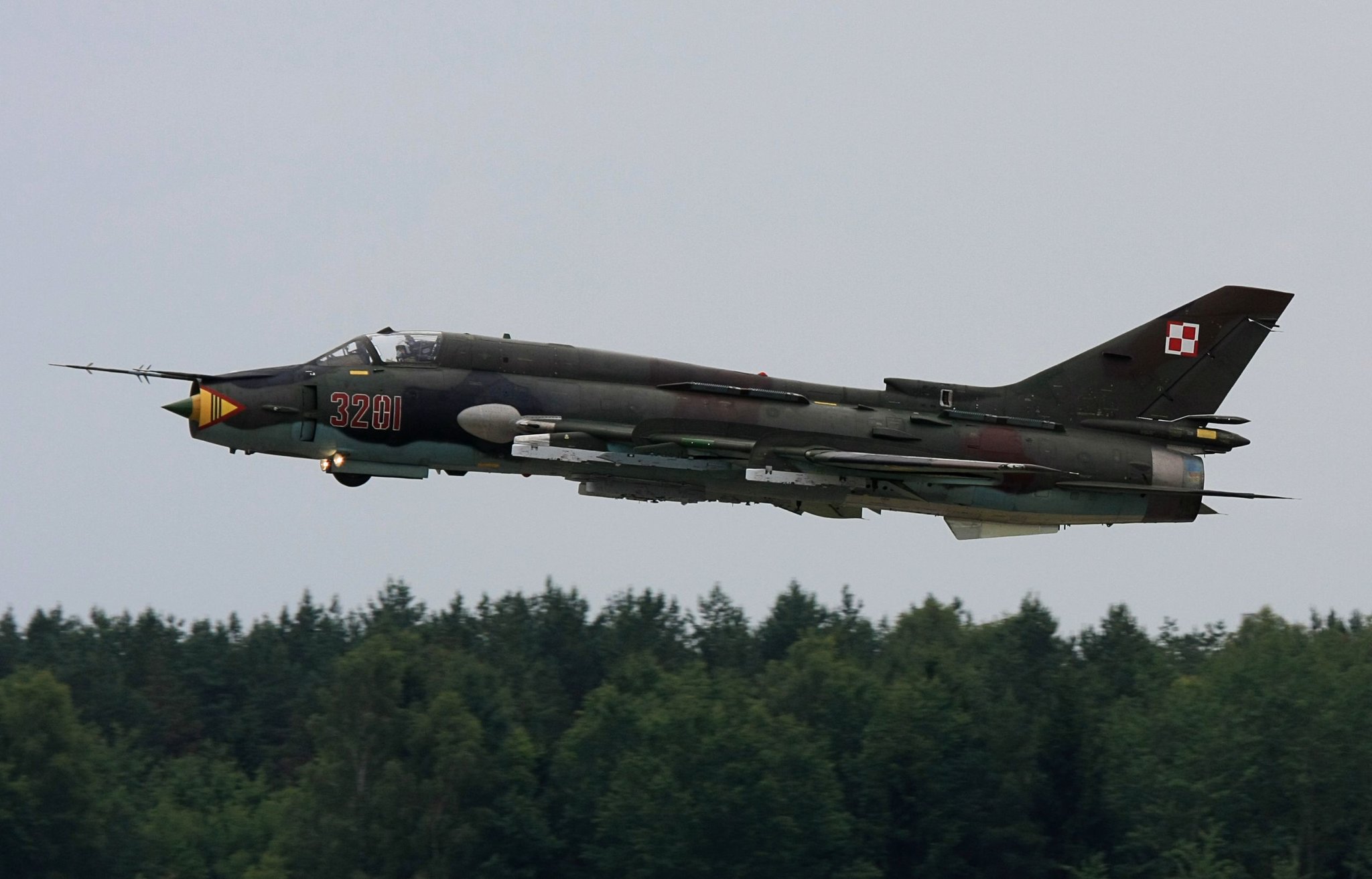 Су-22, автор: Dornenwolf [gartenfreuden], лицензия: CC BY 2.0