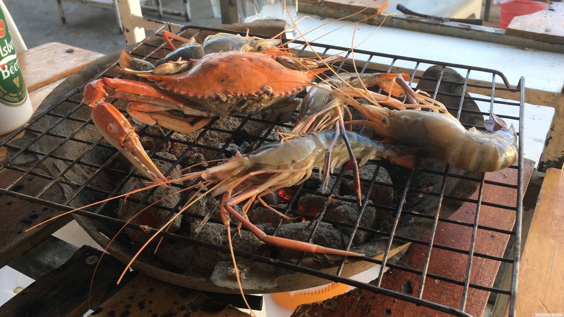 Морепродукты