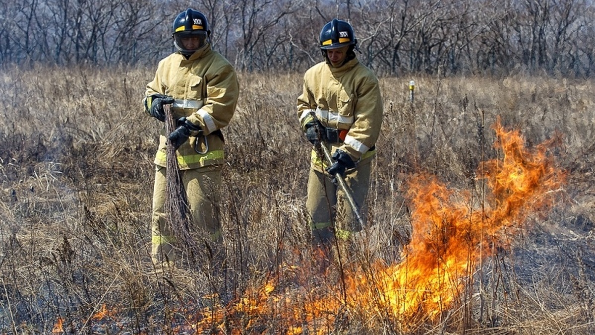 Ликвидация лесного пожара