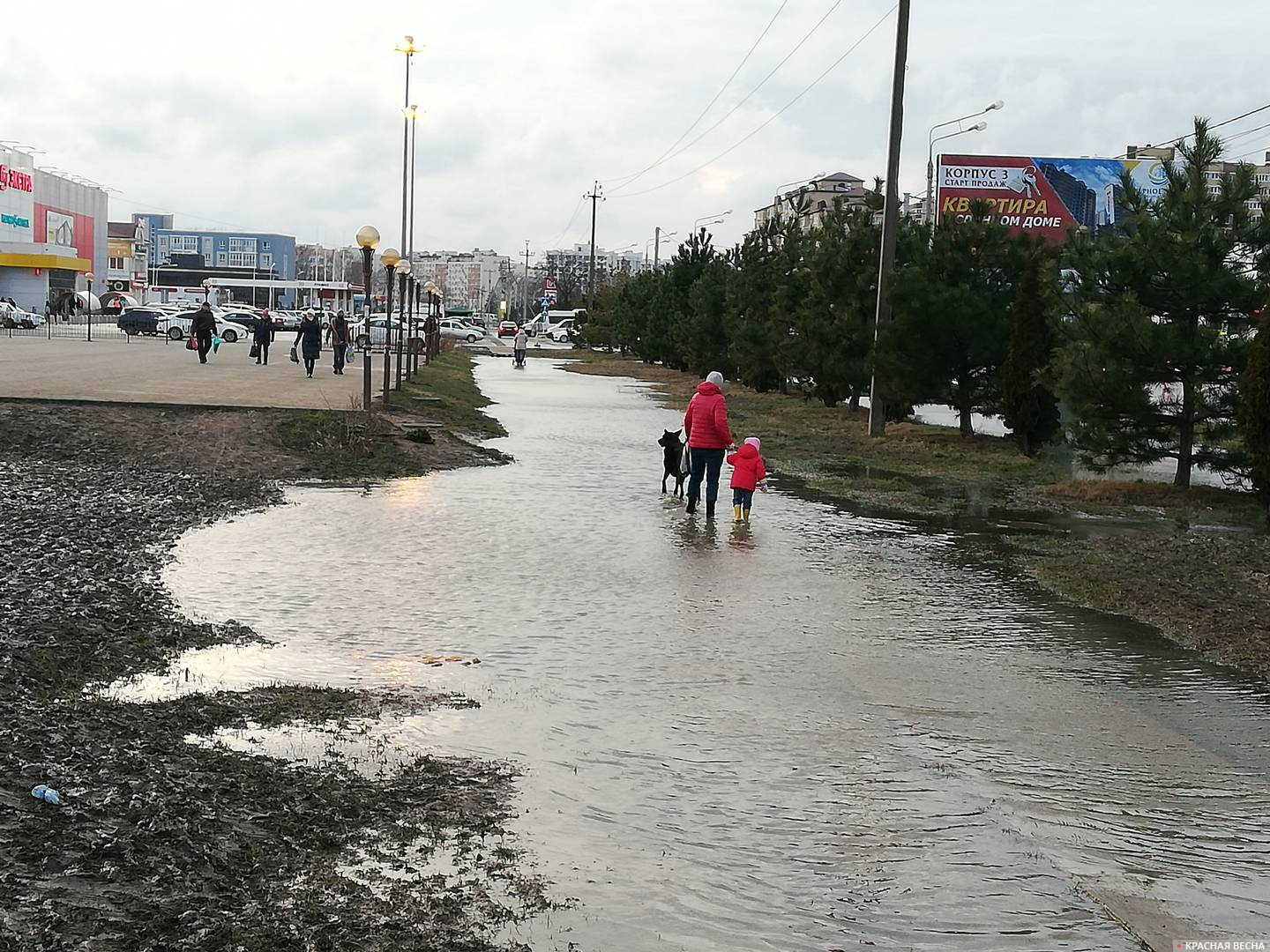 Улицы Анапы скрылись под водой и грязью. Виновата стихия? Фоторепортаж | ИА  Красная Весна