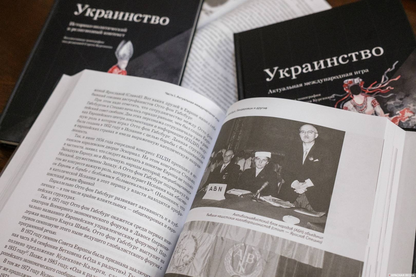 Два первых тома коллективной монграфии «Украинство»