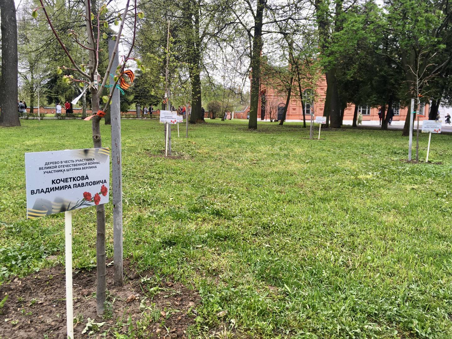 Деревья в память об участниках Великой Отечественной войны были посажены в Коломне