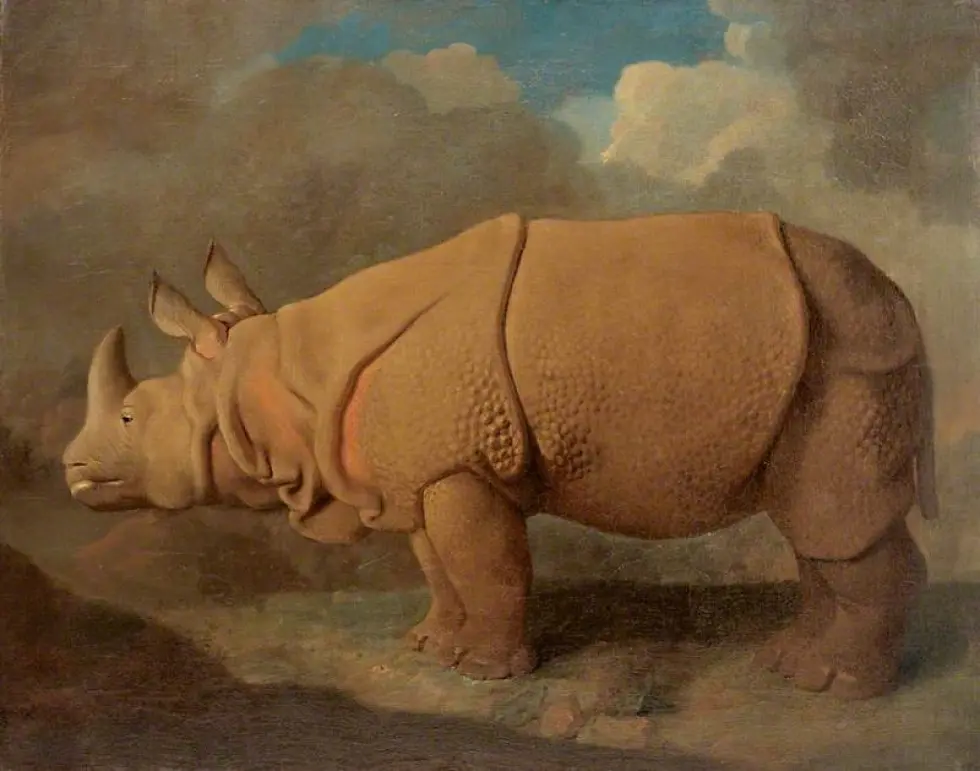 Джордж Стабс. Носорог. 1792