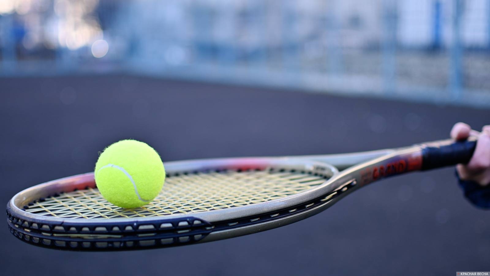 Шиманович уступила в первом круге теннисного турнира в Гвадалахаре