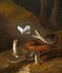 Отто Марсеус ван Скрик. Бабочка, змея и гриб. Около 1600